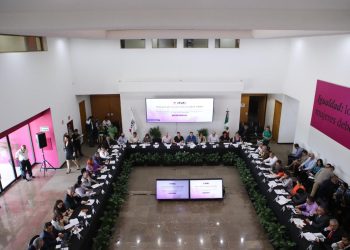INE y Oples afinan detalles para las elecciones