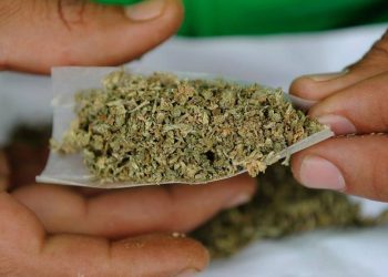 Detienen a dos colombianos con marihuana en Benito Juárez
