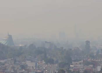 “Lo que más impacta en la concentración del ozono son los automotores”: Vega