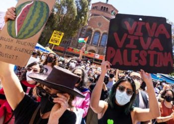 ¿Qué fue lo que pasó en la UCLA? Un experto nos cuenta