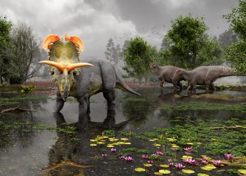 Una nueva especie de dinosaurio con cuernos gigantes es descubierta en EU