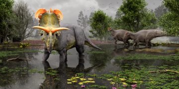 Una nueva especie de dinosaurio con cuernos gigantes es descubierta en EU