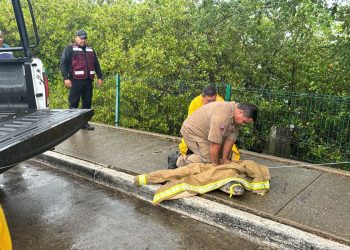 Atrapan a cocodrilo en calles de Tampico 