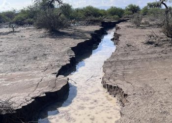 Aparecen grietas de hasta 3 km de largo en comunidades rurales de Tamaulipas