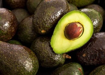 “Esperamos que este lunes se reinicie exportación de aguacate”: Productor
