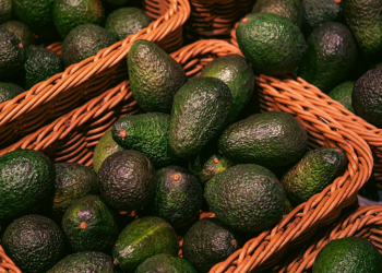 “Hay incertidumbre económica y laboral por suspensión”: Productor de aguacate