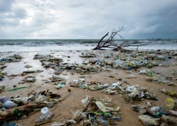 Costos por agotamiento y degradación ambiental en México ascendieron a 1.2 billones de pesos