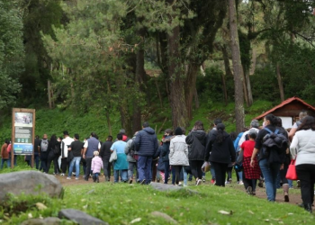 Sequía afecta temporada de luciérnagas en Tlaxcala  