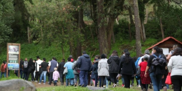Sequía afecta temporada de luciérnagas en Tlaxcala  