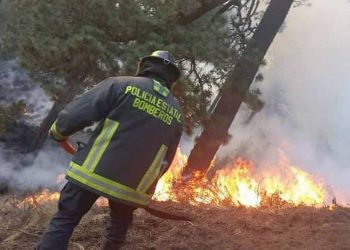 Incrementaron los incendios forestales en Guerrero