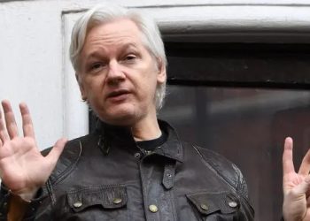 RSF asegura que liberación de Assange es una victoria para la libertad de prensa