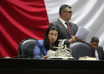 Representará Marcela Guerra al Congreso de la Unión en Reunión de mujeres parlamentarias del P20