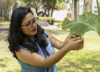 Una científica produce música generada con sonidos de plantas