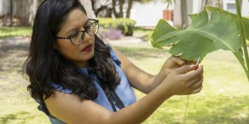 Una científica produce música generada con sonidos de plantas
