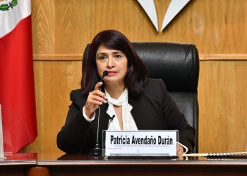 “La ciudadanía tiene la garantía de que el voto se está respetando”: IECM