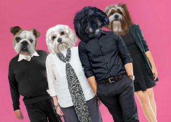 “Los Perros” reinventarse o resignarse a la vida que nos tocó vivir