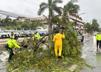 Ligeros daños deja “Beryl” en Quintana Roo