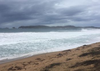 En el Pacífico, se forma la tormenta tropical Aletta
