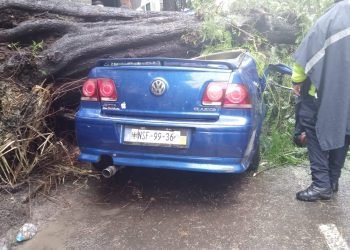 Bebé es rescatado de vehículo que fue aplastado por un árbol en la BJ