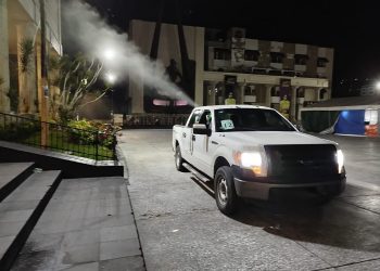 Suman nueve muertes por dengue en Guerrero