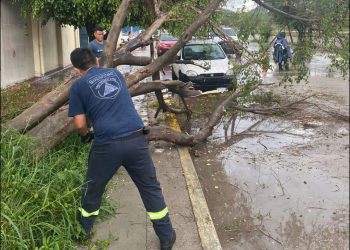 Afectaciones por lluvias deja una persona fallecida y viviendas inundadas en Guerrero
