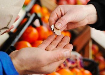 actividad económica