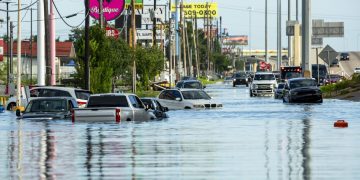 Suben a ocho los muertos por Beryl en Estados Unidos