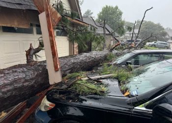 La mitad de muertes que dejó Beryl en Texas han sido por el calor