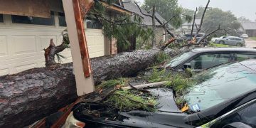 La mitad de muertes que dejó Beryl en Texas han sido por el calor