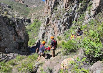 Brigadistas salvan a siete lomitos en Pachuca