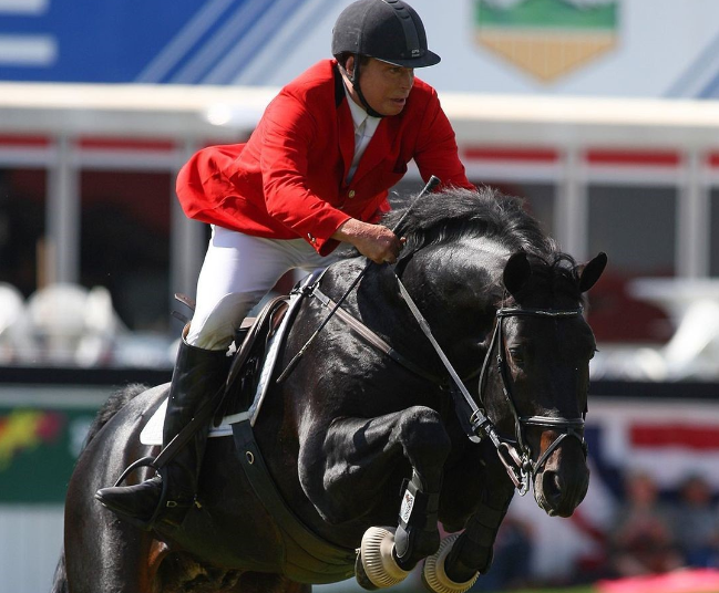 equitacion
