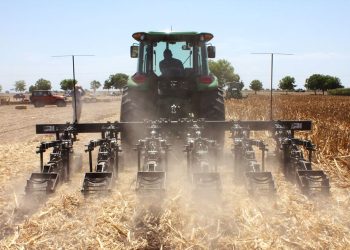 “Dos de cada tres pesos colocados en el campo, llevan algún financiamiento o garantía de FIRA”: Elizondo