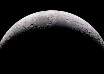 Un grupo de científicos propone almacenar muestras de biodiversidad en la Luna