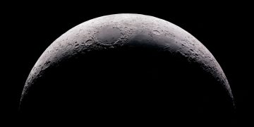 Un grupo de científicos propone almacenar muestras de biodiversidad en la Luna