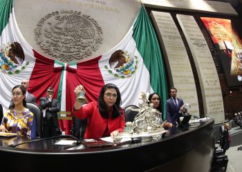 Marcela Guerra representará diputados en Foro Político de Alto Nivel sobre Desarrollo Sostenible de la ONU
