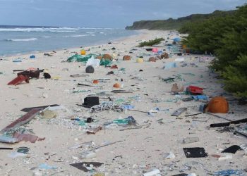“Lo importante es ir a la playa”, aseguran turistas sin verificar su limpieza