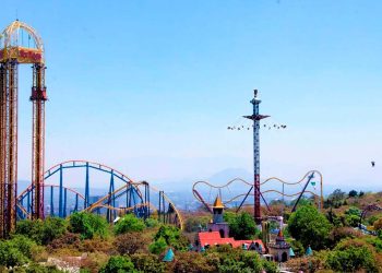 Sedema no autorizará derribo del arbolado en Six Flags México