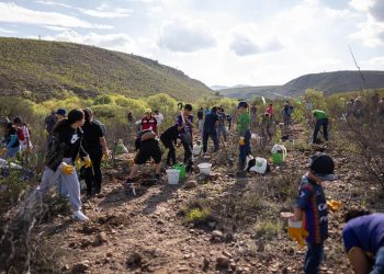 Daikin suma fuerzas con UNESCO en México e inicia con actividad de reforestación
