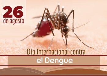 Día Internacional de Lucha contra el Dengue