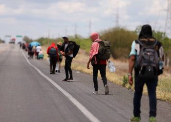 Aseguran a 172 migrantes en Veracruz