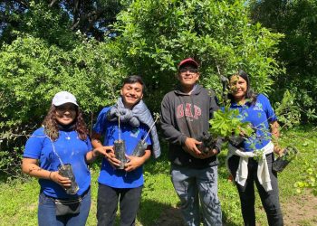 Reforestan Parque Nacional El Tepozteco