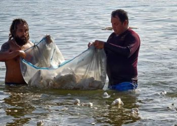 Un total de 1400 toneladas de basura se recolectaron en playas de Acapulco en lo que va del verano