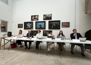 Denise Dresser celebra la obtención de un amparo histórico