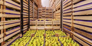 México cerrará con buenas cifras en exportación de alimentos
