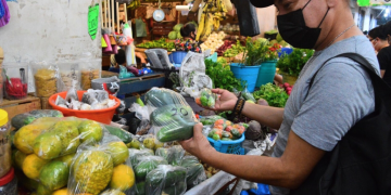 indice nacional de precios al consumidor
