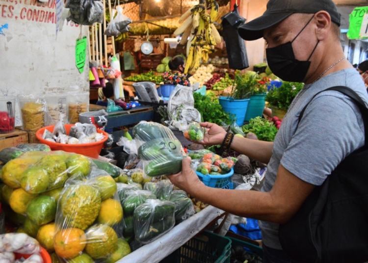 indice nacional de precios al consumidor