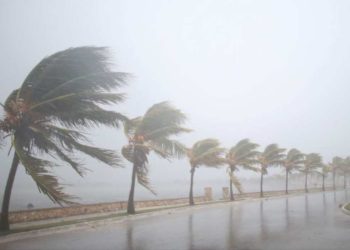 Cuatro muertos, apagones y retraso de vuelos deja Debby en Estados Unidos