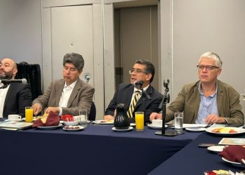 PEMEX y CFE pueden contribuir a generar energía renovable así como hidrógeno verde: FIDESUR