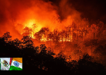 México - India combaten Incendios