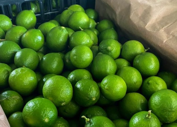 paro de limoneros